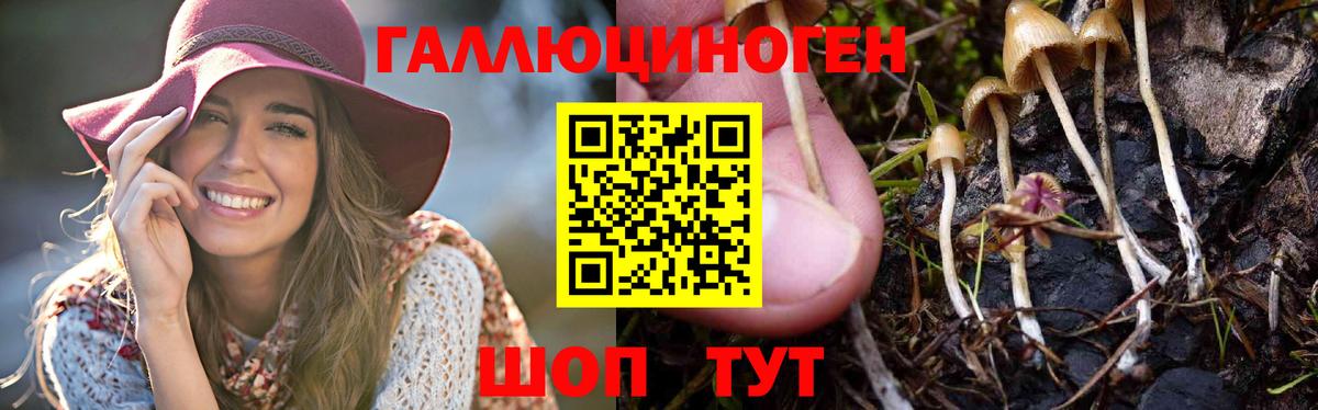 Великий Устюг  Галлюциногенные грибы MAGIC MUSHROOMS  Вход с VPN 